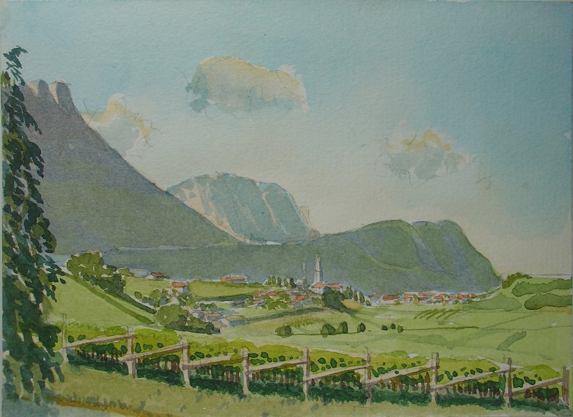 Weinberge in Südtirol, 1985