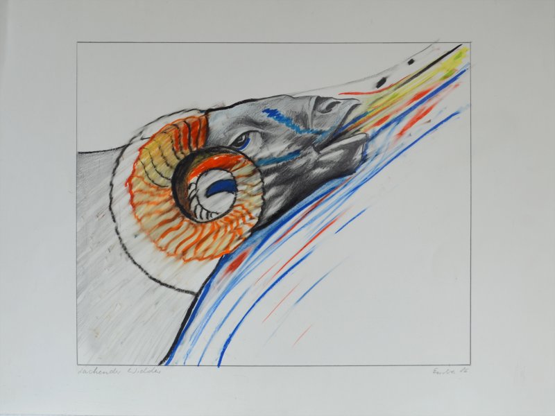 Lachender Widder, Mischtechnik auf Papier, 1986, Privatbesitz