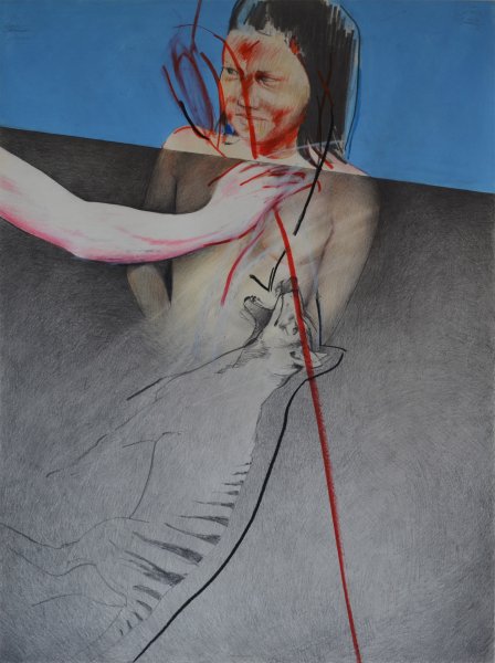 Zyklus ausgerottete Tiere, Tasmanischer Tiger, Mischtechnik auf Papier, 1982, Privatbesitz